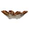 Hello Honey® 5" Multicolor Rustic Glaze Stoneware Flower Plate, 12ct.